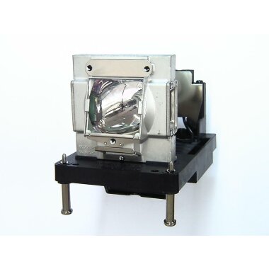 Ersatzlampe für DIGITAL PROJECTION EVISION 7500