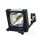 Ersatzlampe für DUKANE ImagePro 8052