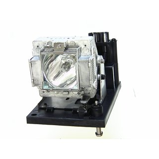 Ersatzlampe fr BENQ PX9600